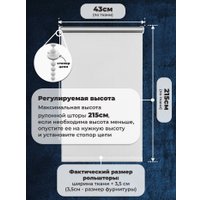 Рулонные шторы Sundays Home LM 167-01 43х215 (белый)