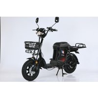 Электровелосипед Smart Balance Master Pro 50 Ah 2025 в Бресте