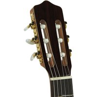 Акустическая гитара Kremona Rosa Morena