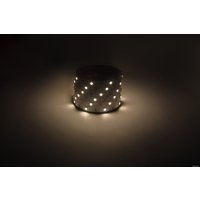 Светодиодная лента ЭРА LS5050 -7,2-30-12-3000K-IP20-1 year-5m теплый белый Б0059915