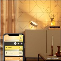 Ночник Philips Hue Iris (золотой)