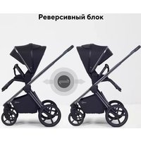 Универсальная коляска Rant Falcon Soft Therm RA111 (2 в 1, black)