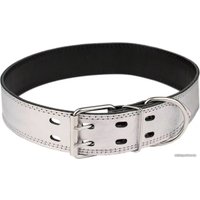 Ошейник Дарэленд простроченный 2х-слойный 45 мм 63-73 см (серебристый)
