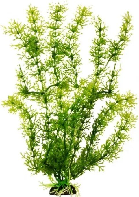 

Искусственное растение Barbus Яванский мох Plant 024/50 (зеленый)