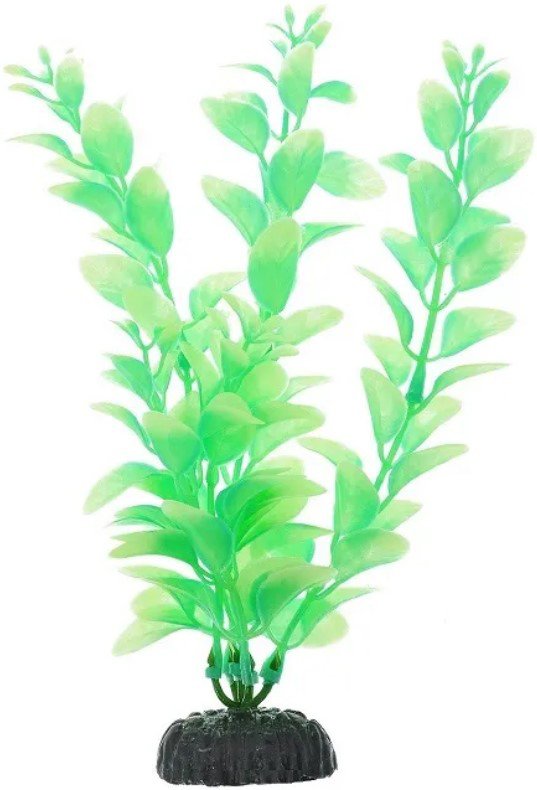 

Искусственное растение Barbus Светящееся в темноте Plant 057 DARK/20