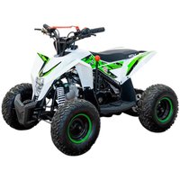 Квадроцикл Motax Gekkon 90 (черный/белый/зеленый)