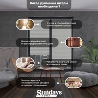 Шторы день-ночь Sundays Home ДН LB 111-13 48х160 с 2-мя направляющими LM-15 150см (белый)