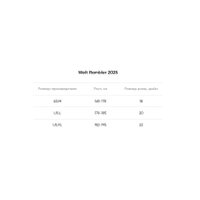 Велосипед Welt Rambler 2.0 L 2025 (Baron Red)