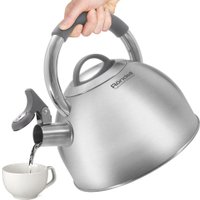 Чайник со свистком Rondell Flamme RDS-1899