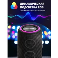 Беспроводная колонка Aiwa PAS-H200 (черный)