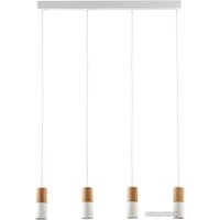 Подвесная люстра TK Lighting Elit 6307