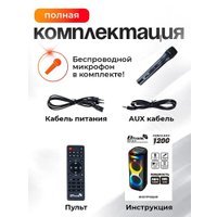 Патибокс Eltronic 30-29 Dance Box 1000