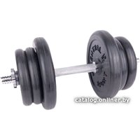 Гантель Central Sport N2 22 кг