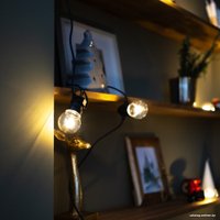 Светодиодная гирлянда Retlux RGL 115