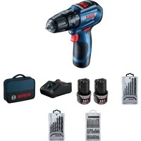 Ударная дрель-шуруповерт Bosch GSB 12V-30 Professional 06019G9101 (с 2-мя АКБ 2 Ач, набор оснастки, сумка)