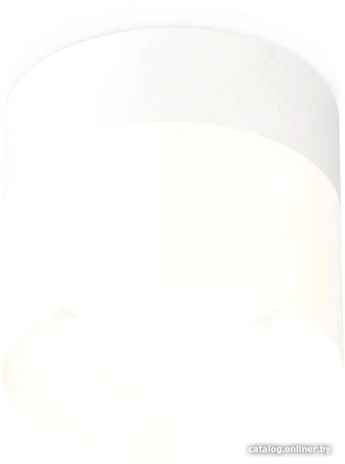 Точечный светильник Ambrella light Techno spot XS8101016 SWH/FR
