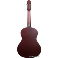 Акустическая гитара Aileen ACG160