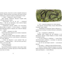 Книга издательства Clever. Деревенские приключения. Тайна Гусиных Лапок (Снесарь Андрей)