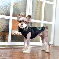 Жилетка для животных Puppia Orson PARD-VT1569-BK-L (черный)