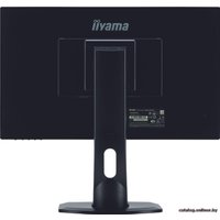 Монитор Iiyama ProLite XUB2490HS-B1