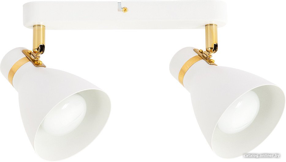 Спот Arte Lamp Fafnir A5047PL-2WH