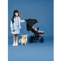 Коляска прогулочная «книга» Anex Air-z (space Az-04)