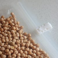Вакуумный упаковщик Miru KAV03