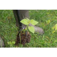Корнеудалитель Tornadica TOR-32SOR