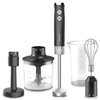 Погружной блендер CENTEK CT-1352 (черный) в Пинске