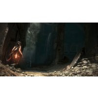  Rise of the Tomb Raider: 20 Year Celebration для PlayStation 4