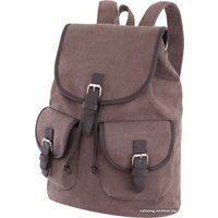 Городской рюкзак Asgard Р-5593 Color (коричневый)
