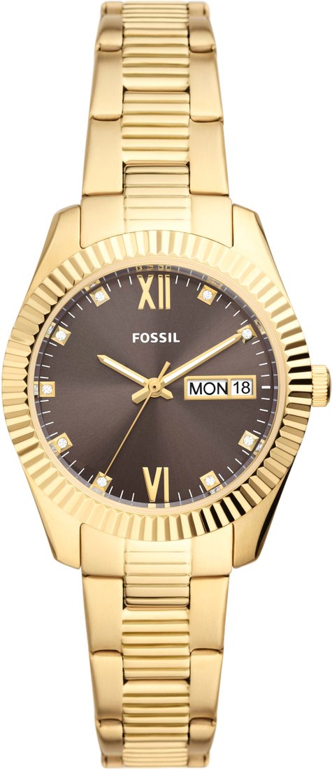 

Наручные часы Fossil Scarlette ES5206