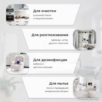 Пароочиститель Bort BDR-3000-RR