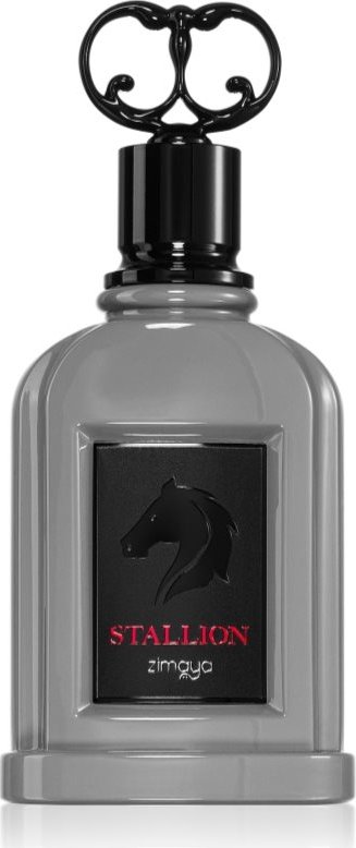 

Парфюмерная вода Zimaya Stallion EdP (100 мл)