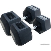 Набор гантелей DFC DB001-45 2x45 кг