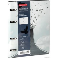 Полуобщая тетрадь BRAUBERG Vista Infinite way А5 112132