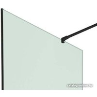 Душевая стенка Benetto BEN-602_BL_M 1200х2000 (черный, матовое стекло)