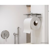 Держатель для туалетной бумаги и освежителя Timo Selene 10040/00 (хром)