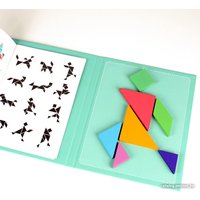 Мозаика/пазл Darvish Tangram SR-T-2394