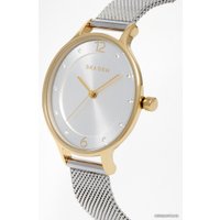 Наручные часы Skagen SKW2340