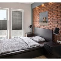 Плиссе Delfa Basic Walnut СПШ-3401/1102 Basic Transparent (57x160, антрацит/белый)