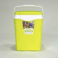 Термобокс Picnic Antarctica 12л (зеленый/киви)