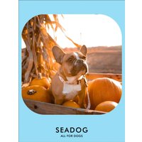 Ошейник Seadog Rose Seagull XS