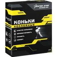 Коньки Winter Star Advanced Way 9667144 (р.47)