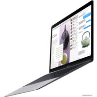 Ноутбук Apple MacBook (2017 год) [MNYF2]