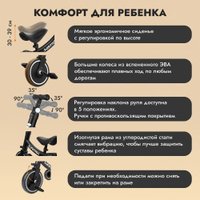 Детский велосипед Besrey BR-C727S (черный)