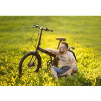 Велосипед Shulz Easy Fat 2023 (серебристый)