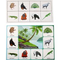 Развивающая игра Десятое королевство Кто где живет? 00078