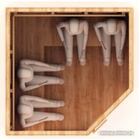 Инфракрасная сауна Шингарёв и Ко Угловая 4-местная