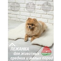 Лежак Lanatex 169 22177 (71x69x1.5, светло-бежевый)